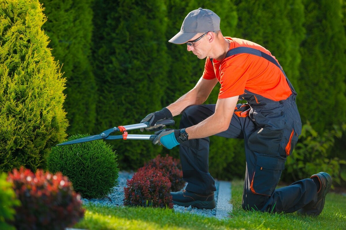 Installation of automatic irrigation systems from Bloomero: Efficient and economical irrigation of your garden