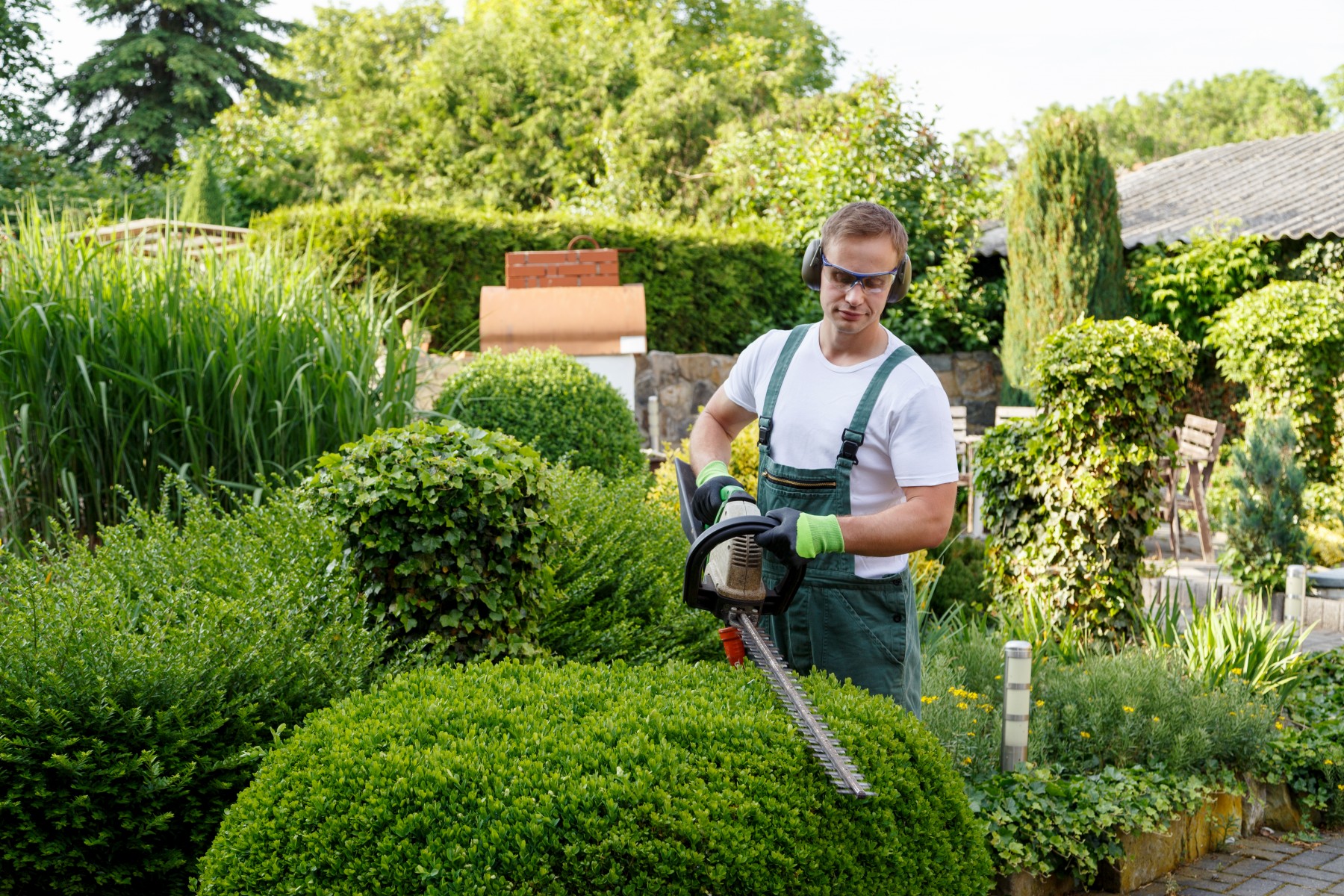 Regular garden and vegetable garden care from Bloomero: Your dream of a beautiful garden becomes a reality